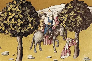 Botanica: THOMAS of Cantimpre (1201-1276). Codex Granatensis: