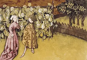 Pumpkins: THOMAS of Cantimpre (1201-1276). Codex Granatensis:
