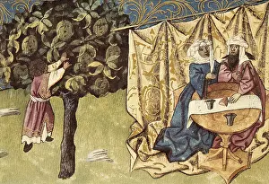 Servitor: THOMAS of Cantimpre (1201-1276). Codex Granatensis: