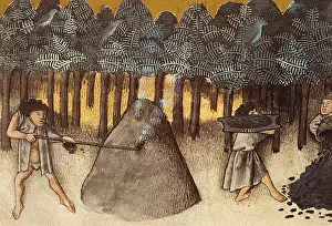 Botanica: THOMAS of Cantimpre (1201-1276). Codex Granatensis: