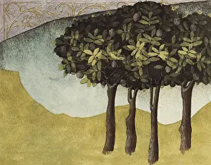 Botanica: THOMAS of Cantimpre (1201-1276). Codex Granatensis: