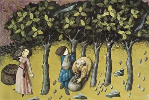 Botanica: THOMAS of Cantimpre (1201-1276). Codex Granatensis: