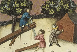 Botanica: THOMAS of Cantimpre (1201-1276). Codex Granatensis: