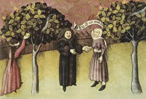 Botanica: THOMAS of Cantimpre (1201-1276). Codex Granatensis: