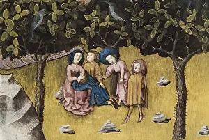 Botanica: THOMAS of Cantimpre (1201-1276). Codex Granatensis: