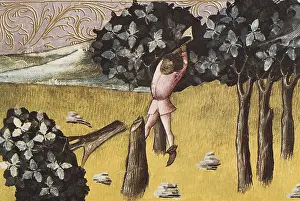 Granatensis: THOMAS of Cantimpre (1201-1276). Codex Granatensis: