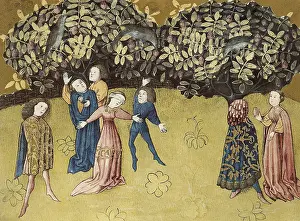 Botanica: THOMAS of Cantimpre (1201-1276). Codex Granatensis: