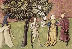 Botanica: THOMAS of Cantimpre (1201-1276). Codex Granatensis: