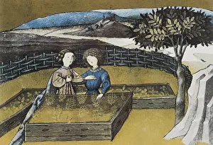 Metaphyta: THOMAS of Cantimpre (1201-1276). Codex Granatensis: