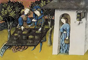 Marjoram: THOMAS of Cantimpre (1201-1276). Codex Granatensis: