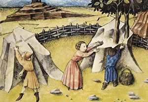 Herbaceous: THOMAS of Cantimpre (1201-1276). Codex Granatensis: