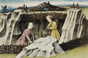 Fennel: THOMAS of Cantimpre (1201-1276). Codex Granatensis: