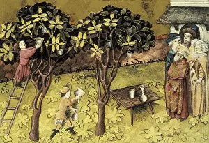 Balm: THOMAS of Cantimpre (1201-1276). Codex Granatensis: