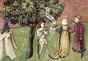 Botanica: THOMAS of Cantimpre (1201-1276). Codex Granatensis: