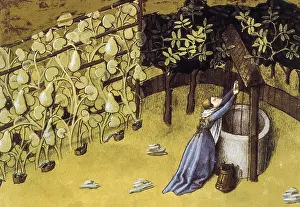 Watery: THOMAS of Cantimpre (1201-1276). Codex Granatensis: