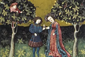 Payes: THOMAS of Cantimpre (1201-1276). Codex Granatensis: