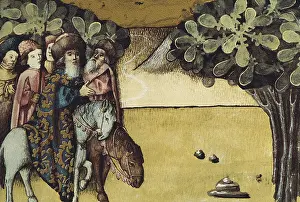 Ariana: THOMAS of Cantimpre (1201-1276). Codex Granatensis: