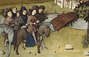 Botanica: THOMAS of Cantimpre (1201-1276). Codex Granatensis: