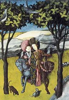 Falconry: THOMAS of Cantimpre (1201-1276). Codex Granatensis: