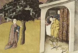 Chaste: THOMAS of Cantimpre (1201-1276). Codex Granatensis: