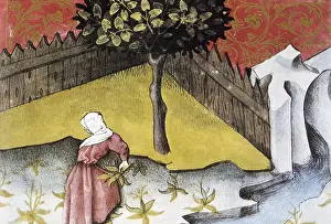 Payes: THOMAS of Cantimpre (1201-1276). Codex Granatensis: