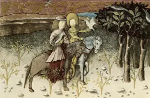 Cornflower: THOMAS of Cantimpre (1201-1276). Codex Granatensis: