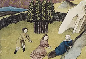 Botanica: THOMAS of Cantimpre (1201-1276). Codex Granatensis:
