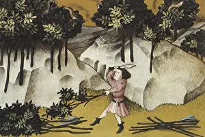 Botanica: THOMAS of Cantimpre (1201-1276). Codex Granatensis: