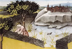 Digestive: THOMAS of Cantimpre (1201-1276). Codex Granatensis: