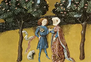 Botanica: THOMAS of Cantimpre (1201-1276). Codex Granatensis: