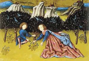 Botanica: THOMAS of Cantimpre (1201-1276). Codex Granatensis: