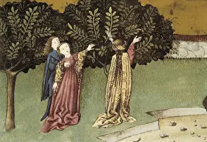 THOMAS of Cantimpre (1201-1276). Codex Granatensis:
