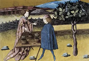 Spices: THOMAS of Cantimpre (1201-1276). Codex Granatensis: