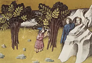 Metaphyta: THOMAS of Cantimpre (1201-1276). Codex Granatensis: