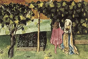 Flowerpot: THOMAS of Cantimpre (1201-1276). Codex Granatensis: