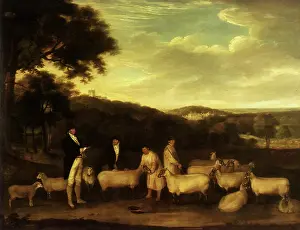 Coke: Thomas Coke and his Southdown Sheep