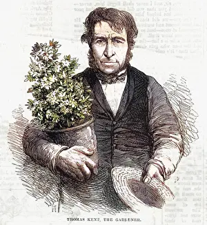 %mep: Thomas Kent, gardener