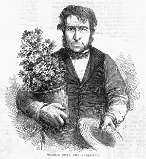 %mep: Thomas Kent, gardener