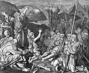 Follower: Thomas Muenzer in the Peasants War