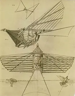Walkers: Thomas Walker's proposed ornithopter