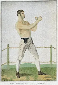 Fists: Thomas Winter, Boxer
