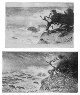 Psychic: THOMPSON/GIFFARD 1