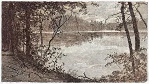 Thoreau: Thoreau's pond
