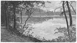 Thoreau: Thoreau's pond