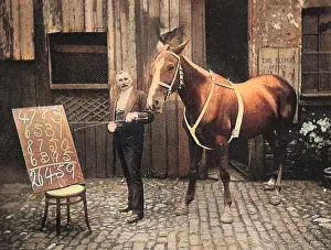 Whizz: THOUGHT-READING HORSE