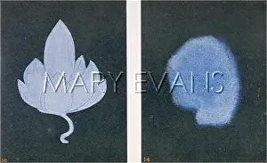 Thoughtforms: THOUGHTFORMS - 14 & 16
