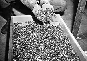 Fillings: Thousands of gold wedding rings removed from victims