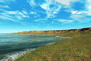 Estuary: Thousands of individual Aglaophyton populate an Early ?