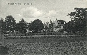 Cedar: Thrapston Union workhouse, Northamptonshire