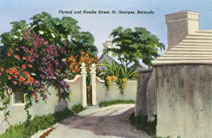 Bermudan: Thread and Needle Street, St. George's, Bermuda